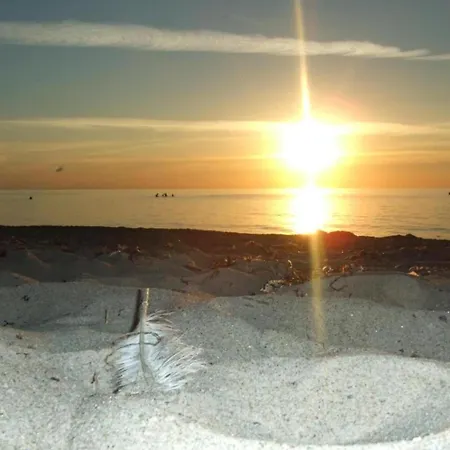 In Nahe Ostseestrand * Rerik